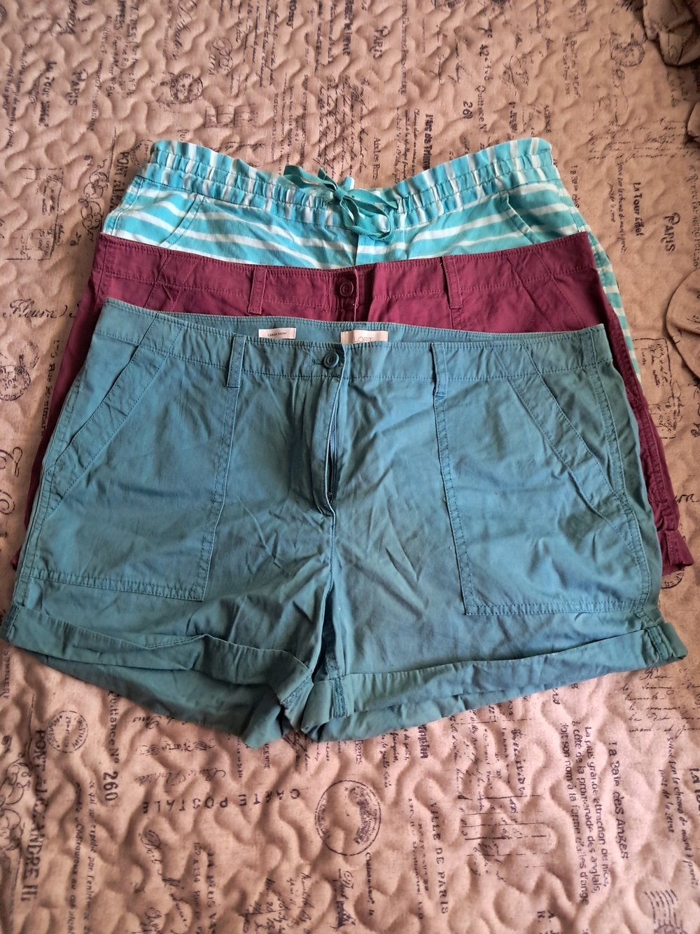 LOFT Teal and Magenta Women’s Shorts